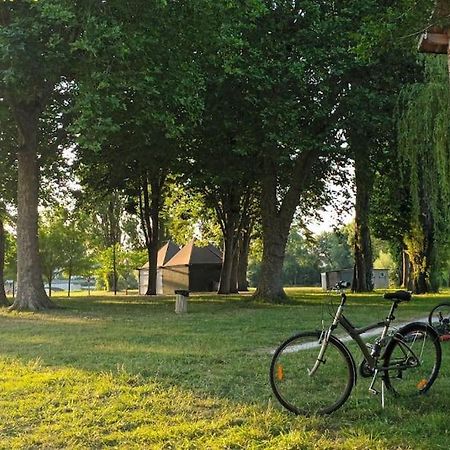*Gite Aux Grappes Du Pressoir* A 2 Km De Beauval Seigy Exterior foto