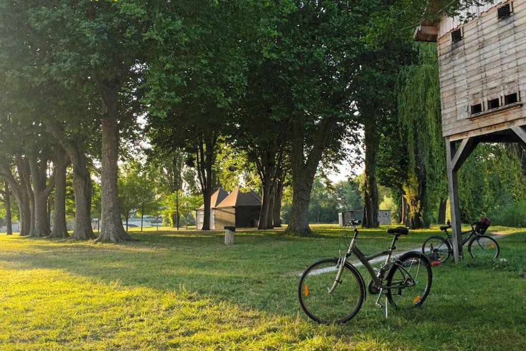 *Gite Aux Grappes Du Pressoir* A 2 Km De Beauval Seigy Exterior foto